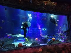 -沈阳海洋探索中心