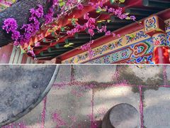 -西安碑林博物馆
