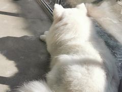 -VOYAGE COFFEE 咖啡烘焙工坊店(798艺术区店)