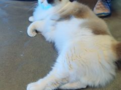 -零纪元VR体验馆·桌游(黄浦店)