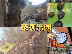-Olé精品超市(北京合生汇店)