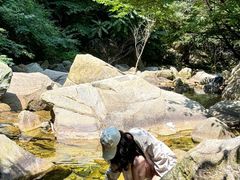 -少华山国家森林公园