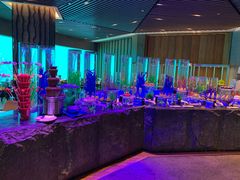 大堂-海棠湾洲际-涛·海底餐厅·美人鱼·自助餐·海底隧道
