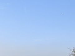 -海珠湖公园