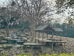 -扬州市茱萸湾风景区