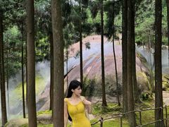 -玉苍山国家森林公园