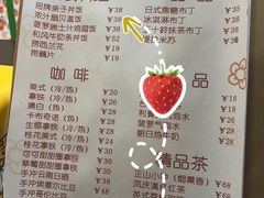 -树夏Tree Summer