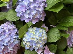 -黔蘑菇四季餐厅(观山湖店)