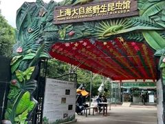 -上海大自然野生昆虫馆(东方明珠·爬宠昆虫探索中心)