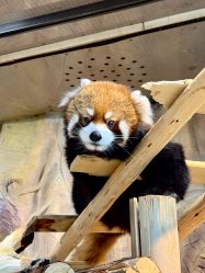 -Zoolung Zoolung动物主题公园(海信广场店)