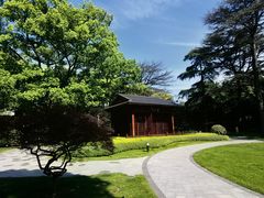 -棕榈岛海鲜自助餐厅(虹桥迎宾馆店)