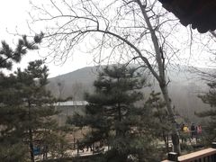 -石家庄市动物园