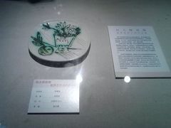 -江苏省美术馆(长江路新馆)