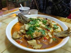 -煲来饱去冷水鱼