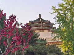 -中国农业博物馆