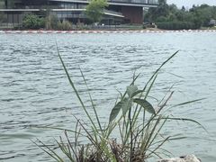 -云里小坐·海泉湾·团建·宴席·下午茶(金堂海泉湾店)