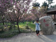 -日照海滨国家森林公园