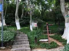 -菊花台公园