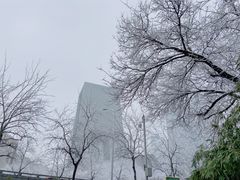 -中央广播电视总台(光华路办公区)