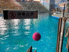 -苏州海洋馆