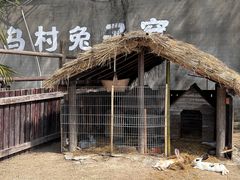 -乌村