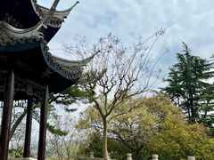 -狼山风景名胜区