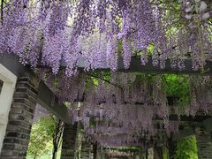 -龙寺生态园