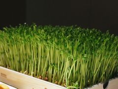-领鲜天下·焗海鲜·花胶鸡(天目里店)