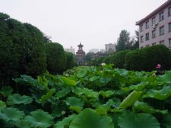 -四川大学(华西校区)