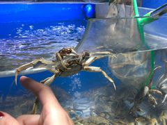 -瑞尔福超市(明珠广场店)