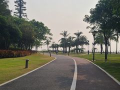 -野狸岛