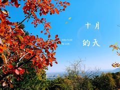 -北京鹫峰国家森林公园
