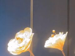 -太阳门淮扬菜(南京博物院店)