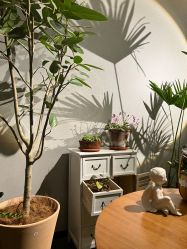 -芳香乐府疗愈空间·SPA·冥想