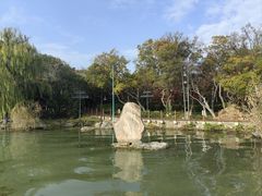 -金鸡湖桃花岛