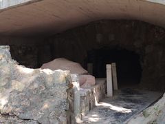 -上海佘山国家森林公园天马山园