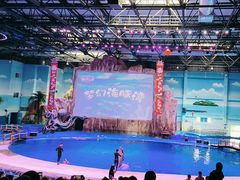 -华夏文旅海洋公园