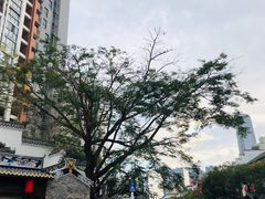 -坂田手造文化街