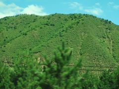 -塞罕坝国家级自然保护区