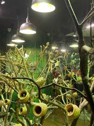 -Zoolung Zoolung动物主题公园(海信广场店)