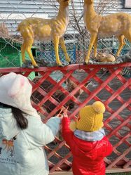 -萌宠亲子动物乐园(槐房万达店)