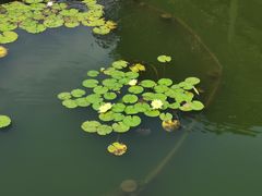 -知味观(湖滨总店)