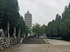 -原山国家森林公园