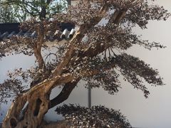 -上海植物园-4号门售票处