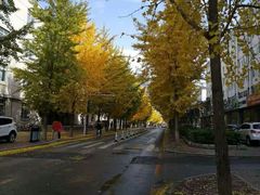 -东北大学(南湖校区)