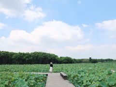 -梁鸿国家湿地公园