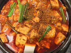 -陈麻婆豆腐总店