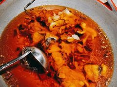 -雲蜀龙阁·金牌水煮鱼(方庄店)