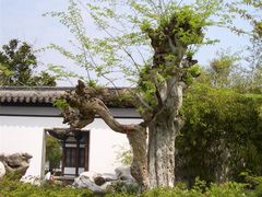 -常熟方塔园