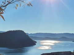 -深圳仙湖植物园-停车场